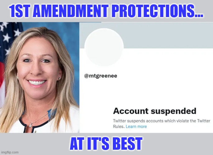 MTG blames Jewish space lasers & cancel culture for Twitter banishment | 1ST AMENDMENT PROTECTIONS... AT IT'S BEST | image tagged in marjorie taylor greene,twitter,1st amendment,gop nutjob,banishment | made w/ Imgflip meme maker