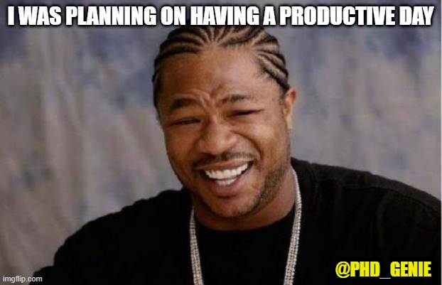 productive day | I WAS PLANNING ON HAVING A PRODUCTIVE DAY; @PHD_GENIE | image tagged in memes,yo dawg heard you | made w/ Imgflip meme maker