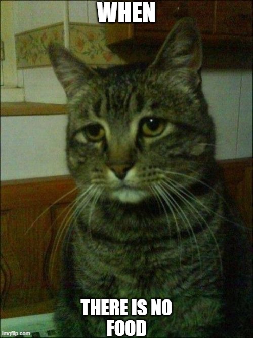 Depressed Cat Meme | WHEN; THERE IS NO
FOOD | image tagged in memes,depressed cat | made w/ Imgflip meme maker