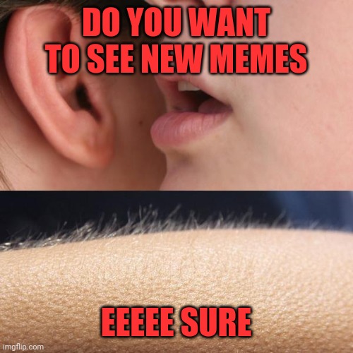 New memes | DO YOU WANT TO SEE NEW MEMES; EEEEE SURE | image tagged in whisper and goosebumps,memes,funny,dank memes,wet | made w/ Imgflip meme maker