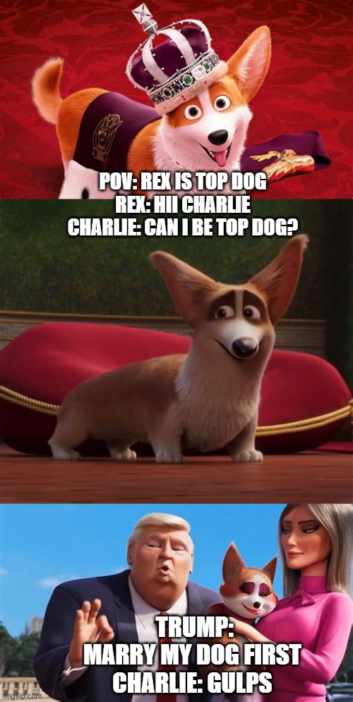 Top Dog | POV: REX IS TOP DOG
REX: HII CHARLIE
CHARLIE: CAN I BE TOP DOG? TRUMP: MARRY MY DOG FIRST
CHARLIE: GULPS | image tagged in top dog | made w/ Imgflip meme maker