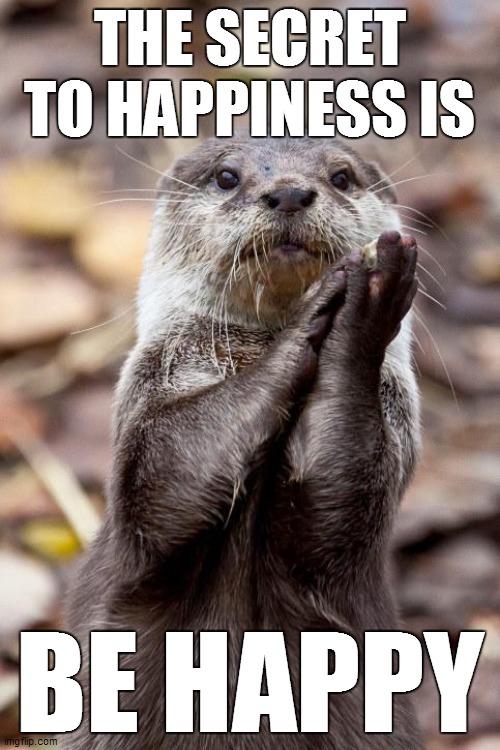 Slow-Clap Otter | THE SECRET TO HAPPINESS IS BE HAPPY | image tagged in slow-clap otter | made w/ Imgflip meme maker