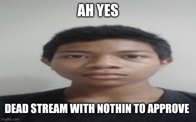 Akif | AH YES; DEAD STREAM WITH NOTHIN TO APPROVE | image tagged in akif | made w/ Imgflip meme maker