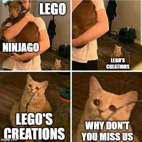 Sad Cat Holding Dog | LEGO; NINJAGO; LEGO'S CREATIONS; LEGO'S CREATIONS; WHY DON'T YOU MISS US | image tagged in sad cat holding dog | made w/ Imgflip meme maker