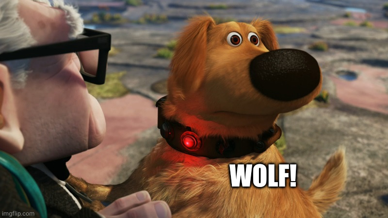 up! squirrel dog | WOLF! | image tagged in up squirrel dog | made w/ Imgflip meme maker