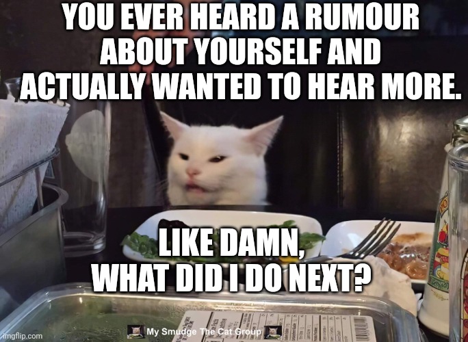 YOU EVER HEARD A RUMOUR ABOUT YOURSELF AND ACTUALLY WANTED TO HEAR MORE. LIKE DAMN, WHAT DID I DO NEXT? | image tagged in smudge the cat | made w/ Imgflip meme maker