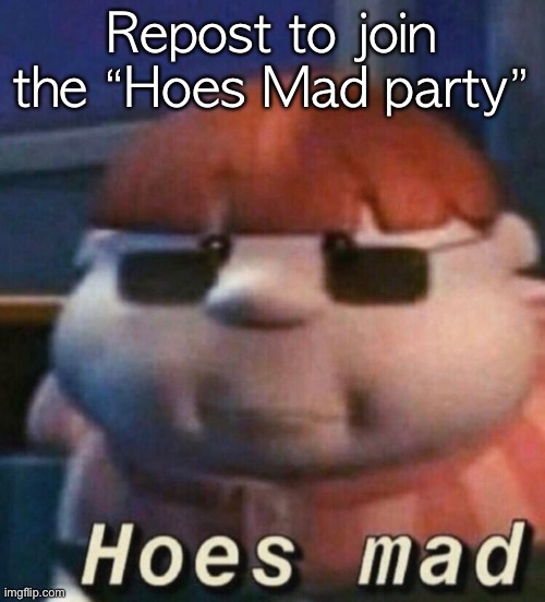 HOES MAD | Repost to join the “Hoes Mad party” | image tagged in hoes mad | made w/ Imgflip meme maker
