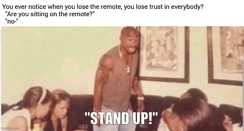 Trust nobody. Not even yourself.. | You ever notice when you lose the remote, you lose trust in everybody?
  "Are you sitting on the remote?"
  "no-"; "STAND UP!" | image tagged in trust issues,bruh moment,why am i doing this,why are you reading this | made w/ Imgflip meme maker