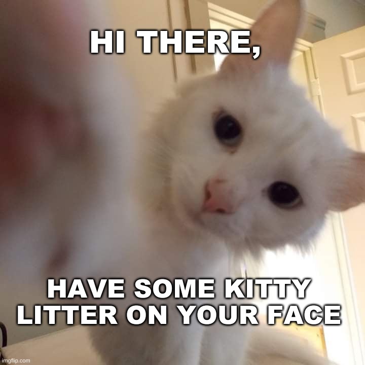 Are you awake yet? | HI THERE, HAVE SOME KITTY LITTER ON YOUR FACE | image tagged in hello there,hello kitty,smudge the cat,woah kitty,poop,paw patrol | made w/ Imgflip meme maker
