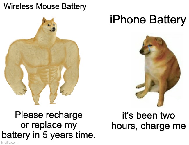 Dear Apple: wtf | Wireless Mouse Battery; iPhone Battery; Please recharge or replace my battery in 5 years time. it's been two hours, charge me | image tagged in memes,buff doge vs cheems,unfunny | made w/ Imgflip meme maker