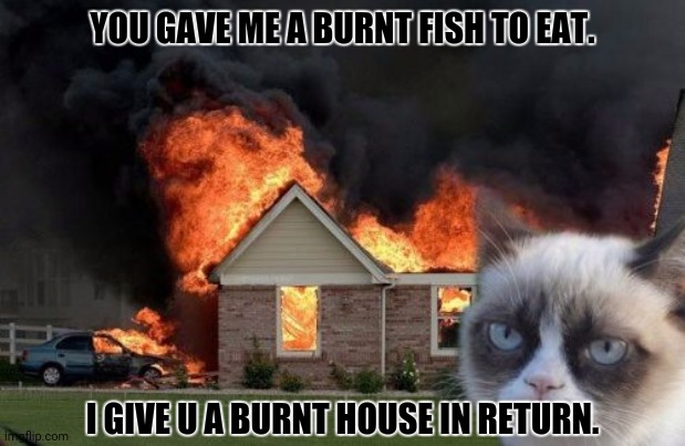 Burn Kitty | YOU GAVE ME A BURNT FISH TO EAT. I GIVE U A BURNT HOUSE IN RETURN. | image tagged in memes,kitty,hungry | made w/ Imgflip meme maker