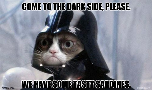 Grumpy Cat Star Wars | COME TO THE DARK SIDE, PLEASE. WE HAVE SOME TASTY SARDINES. | image tagged in memes,kitty,dark | made w/ Imgflip meme maker