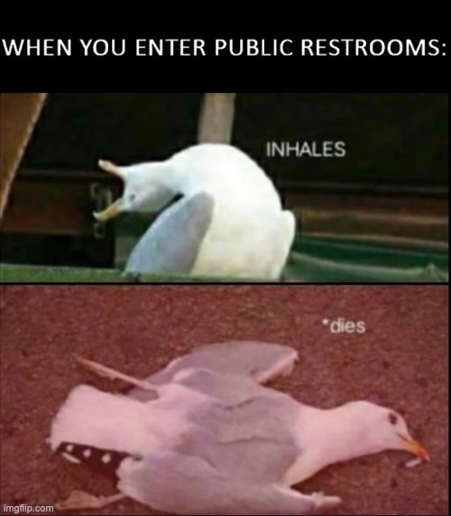 death lol | image tagged in memes,unfunny,repost | made w/ Imgflip meme maker