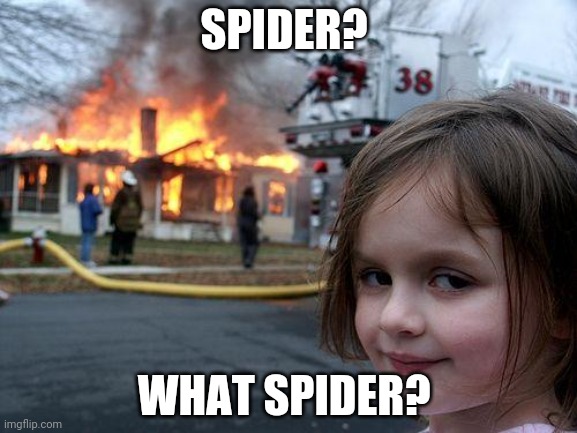 Disaster Girl Meme | SPIDER? WHAT SPIDER? | image tagged in memes,disaster girl | made w/ Imgflip meme maker