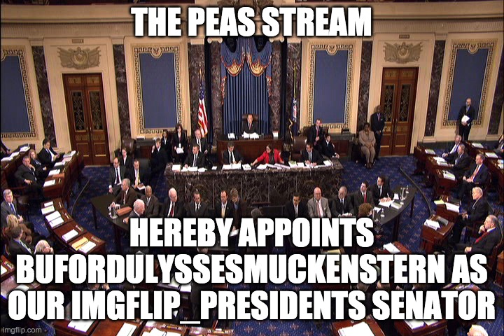 Senate floor | THE PEAS STREAM; HEREBY APPOINTS BUFORDULYSSESMUCKENSTERN AS OUR IMGFLIP_PRESIDENTS SENATOR | image tagged in senate floor | made w/ Imgflip meme maker