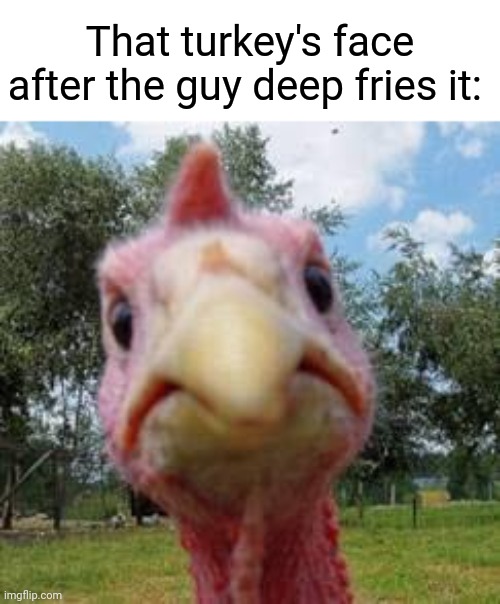 Deep Fried turkey | That turkey's face after the guy deep fries it: | image tagged in turkey,deep fried,comment section,comments,memes,meme | made w/ Imgflip meme maker