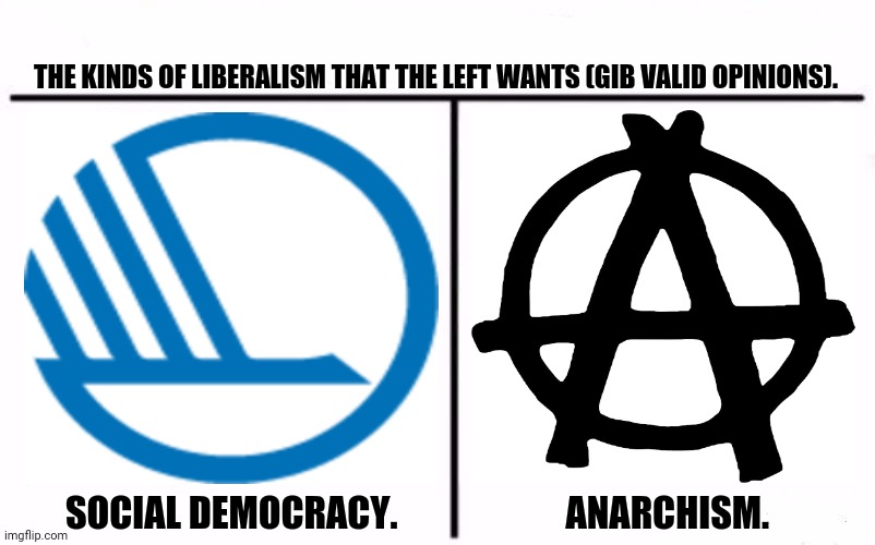 Who Would Win Blank | THE KINDS OF LIBERALISM THAT THE LEFT WANTS (GIB VALID OPINIONS). SOCIAL DEMOCRACY.                       ANARCHISM. | image tagged in memes,liberal,post | made w/ Imgflip meme maker