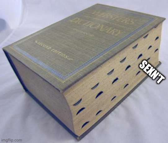 Dictionary | SEXN'T | image tagged in dictionary | made w/ Imgflip meme maker