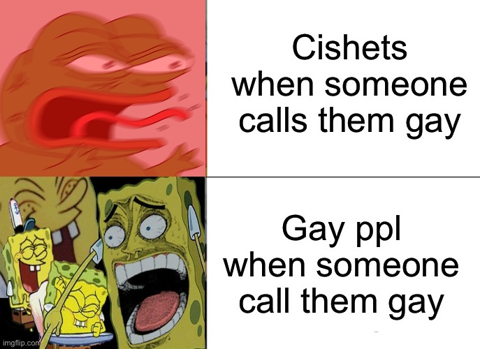 Why straights be like this tho | Cishets when someone calls them gay; Gay ppl when someone call them gay | image tagged in memes,tuxedo winnie the pooh | made w/ Imgflip meme maker