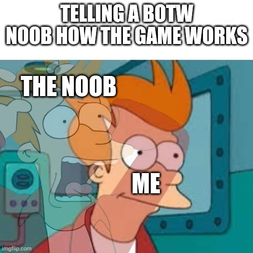 fry | TELLING A BOTW NOOB HOW THE GAME WORKS; THE NOOB; ME | image tagged in fry | made w/ Imgflip meme maker