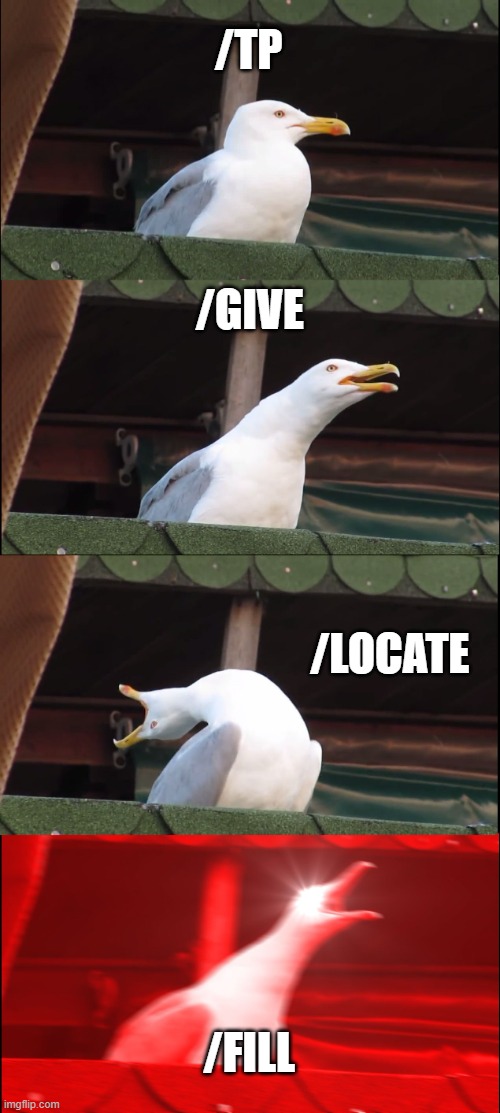 Inhaling Seagull | /TP; /GIVE; /LOCATE; /FILL | image tagged in memes,inhaling seagull,minecraft commands,gaming,minecraft | made w/ Imgflip meme maker