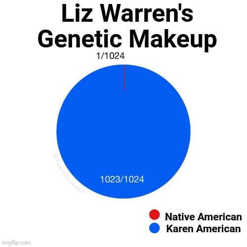Liz Warren's Genetic Makeup | Liz Warren's Genetic Makeup; Native American
Karen American | image tagged in elizabeth warren,genetics,makeup,karen,american | made w/ Imgflip meme maker