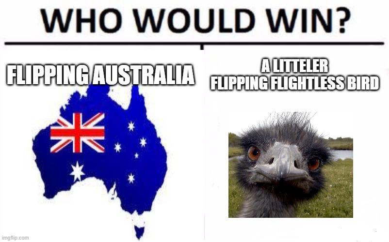 who would win..... | FLIPPING AUSTRALIA; A LITTELER FLIPPING FLIGHTLESS BIRD | image tagged in who would win | made w/ Imgflip meme maker