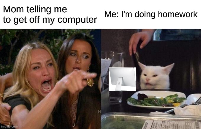 Computer mom | Mom telling me to get off my computer; Me: I'm doing homework | image tagged in memes,woman yelling at cat | made w/ Imgflip meme maker