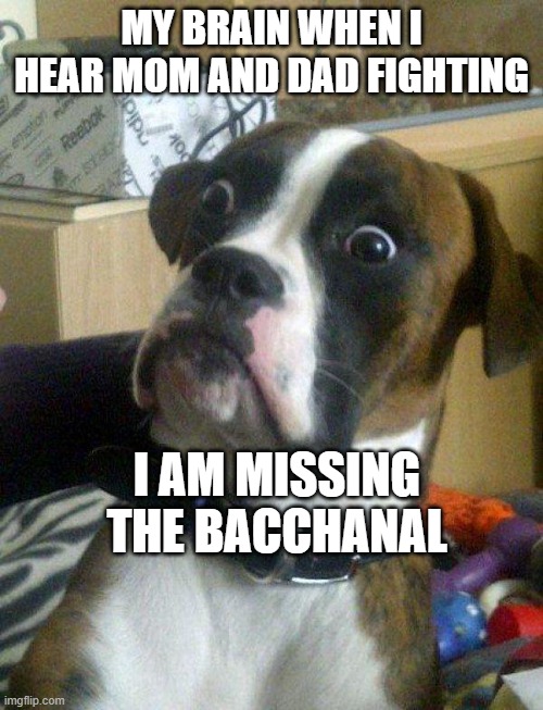 b a c c h a n a l | MY BRAIN WHEN I HEAR MOM AND DAD FIGHTING; I AM MISSING THE BACCHANAL | image tagged in blankie the shocked dog | made w/ Imgflip meme maker