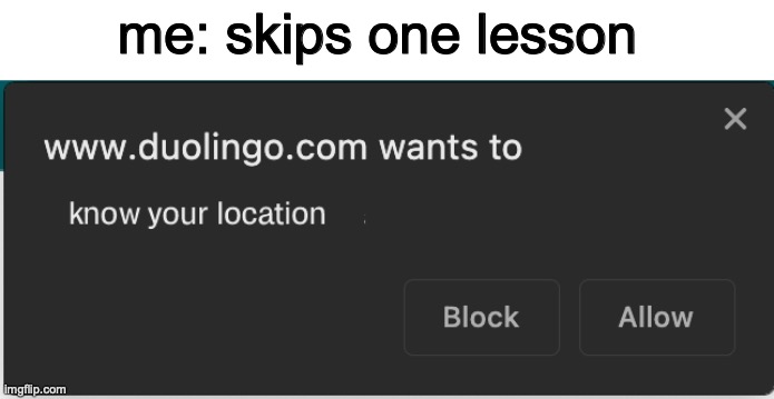 So true | me: skips one lesson | image tagged in duolingo bird | made w/ Imgflip meme maker