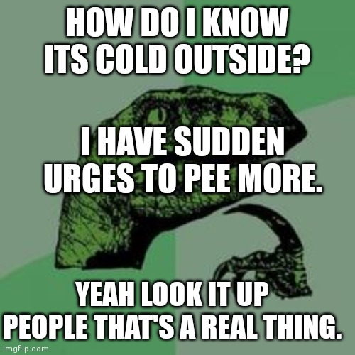 Time raptor  | HOW DO I KNOW ITS COLD OUTSIDE? I HAVE SUDDEN URGES TO PEE MORE. YEAH LOOK IT UP PEOPLE THAT'S A REAL THING. | image tagged in time raptor | made w/ Imgflip meme maker