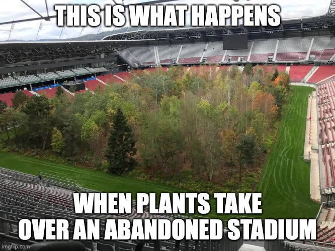Forest in Stadium |  THIS IS WHAT HAPPENS; WHEN PLANTS TAKE OVER AN ABANDONED STADIUM | image tagged in memes,trees | made w/ Imgflip meme maker