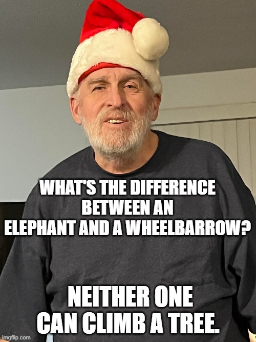 Ultimate Dad Joke | WHAT'S THE DIFFERENCE BETWEEN AN ELEPHANT AND A WHEELBARROW? NEITHER ONE CAN CLIMB A TREE. | image tagged in dad joke,dad joke meme,dad,elephants | made w/ Imgflip meme maker