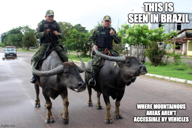 Patrolling on Oxes | THIS IS SEEN IN BRAZIL; WHERE MOUNTAINOUS AREAS AREN'T ACCESSIBLE BY VEHICLES | image tagged in memes,police | made w/ Imgflip meme maker