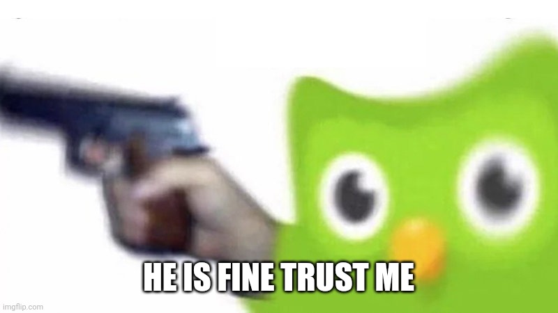 duolingo gun | HE IS FINE TRUST ME | image tagged in duolingo gun | made w/ Imgflip meme maker