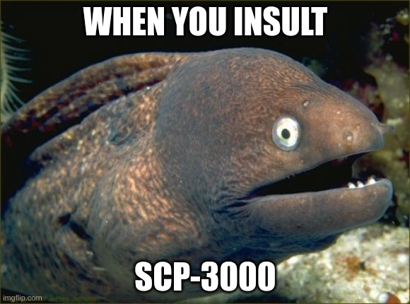3000 | WHEN YOU INSULT; SCP-3000 | image tagged in memes,bad joke eel,scp | made w/ Imgflip meme maker