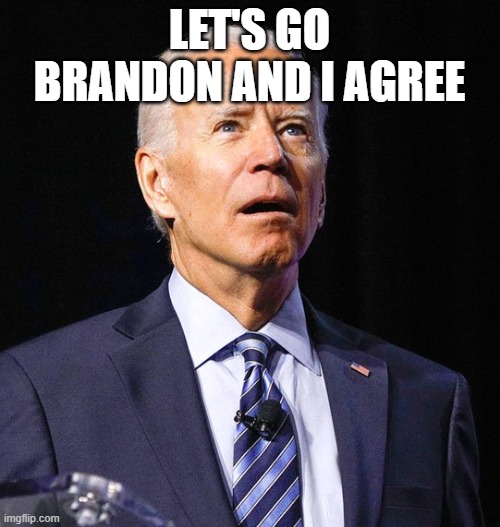 Joe Biden | LET'S GO BRANDON AND I AGREE | image tagged in joe biden | made w/ Imgflip meme maker