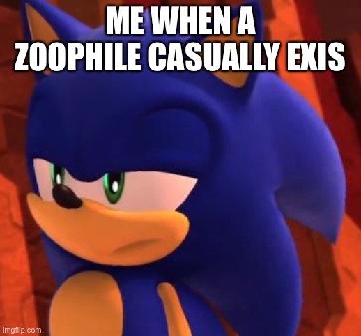 Disappointed Sonic | ME WHEN A ZOOPHILE CASUALLY EXISTS | image tagged in disappointed sonic | made w/ Imgflip meme maker
