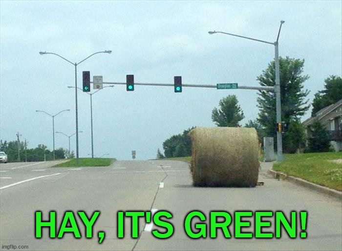 HAY, IT'S GREEN! | image tagged in eye roll | made w/ Imgflip meme maker