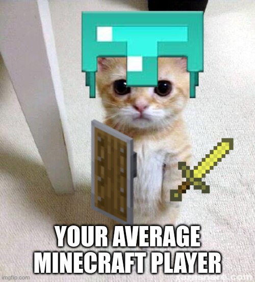YOUR AVERAGE MINECRAFT PLAYER | image tagged in minecraft | made w/ Imgflip meme maker