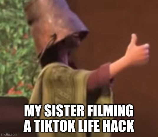 Encanto | MY SISTER FILMING A TIKTOK LIFE HACK | image tagged in encanto | made w/ Imgflip meme maker