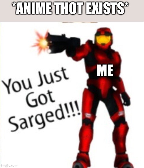 You just got sarged | *ANIME THOT EXISTS*; ME | image tagged in you just got sarged | made w/ Imgflip meme maker