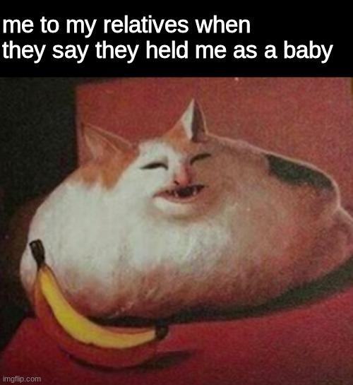 hehe | me to my relatives when they say they held me as a baby | image tagged in cet,memes,hehe | made w/ Imgflip meme maker