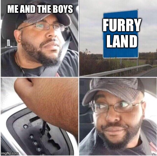 (my opinion) dont get mad | ME AND THE BOYS; FURRY LAND | image tagged in car reverse | made w/ Imgflip meme maker