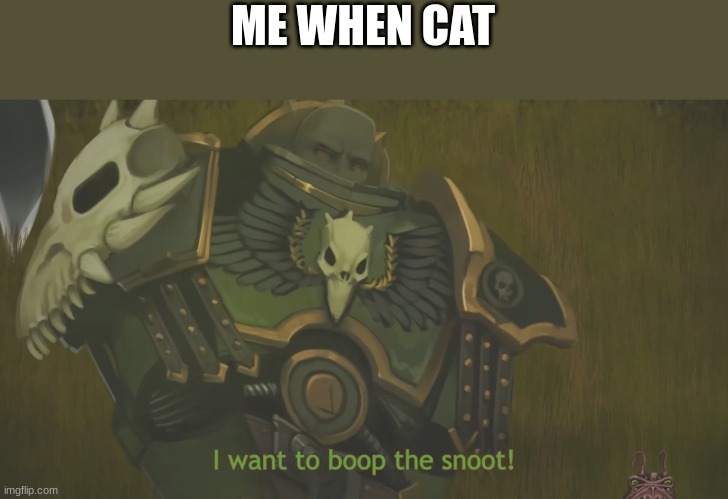 boop the snoot brother! | ME WHEN CAT | image tagged in i want to boop the snoot | made w/ Imgflip meme maker