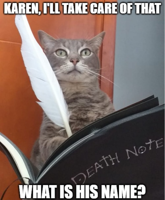 High Quality Deth note cat Blank Meme Template