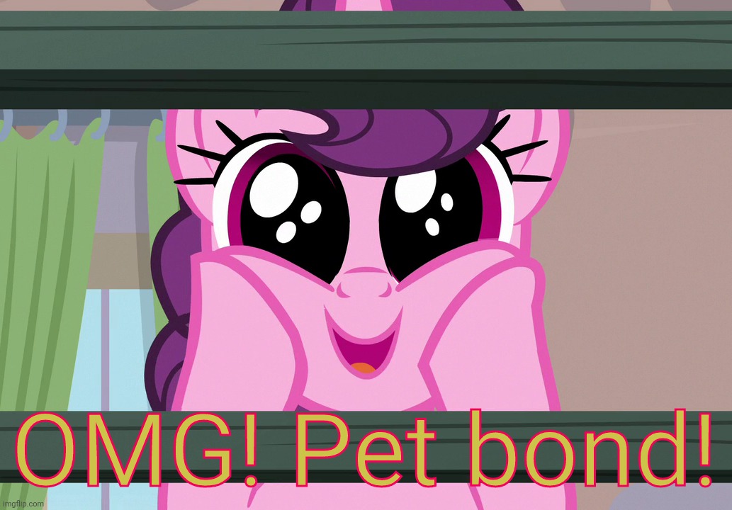 Surprised Sugar Belle (MLP) | OMG! Pet bond! | image tagged in surprised sugar belle mlp | made w/ Imgflip meme maker