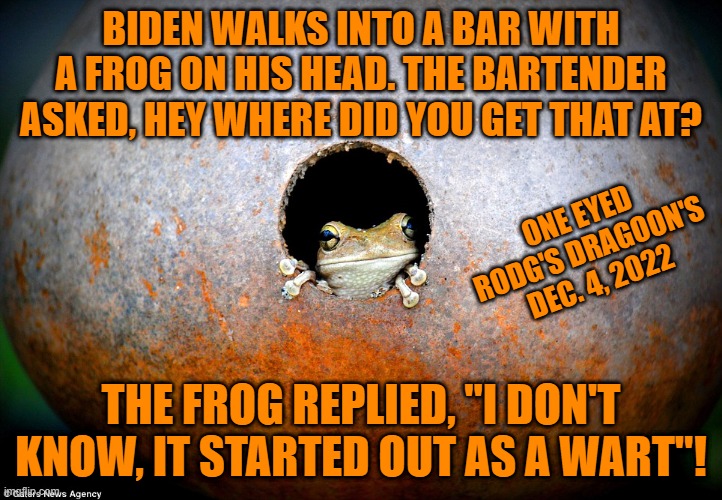 BIDEN AND A FROG | BIDEN WALKS INTO A BAR WITH A FROG ON HIS HEAD. THE BARTENDER ASKED, HEY WHERE DID YOU GET THAT AT? ONE EYED RODG'S DRAGOON'S DEC. 4, 2022; THE FROG REPLIED, "I DON'T KNOW, IT STARTED OUT AS A WART"! | image tagged in joe biden | made w/ Imgflip meme maker