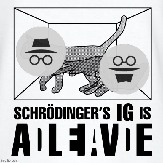 Schrodinger’s IG | image tagged in schrodinger s ig | made w/ Imgflip meme maker