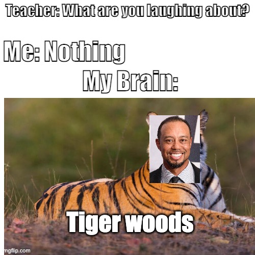 :P | Me: Nothing; Teacher: What are you laughing about? My Brain:; Tiger woods | image tagged in funny,meme,imgflip,tiger woods | made w/ Imgflip meme maker